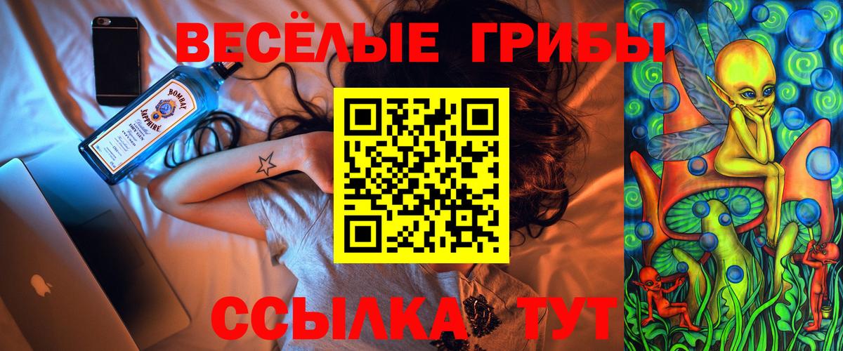 Псилоцибиновые грибы Cubensis Семилуки