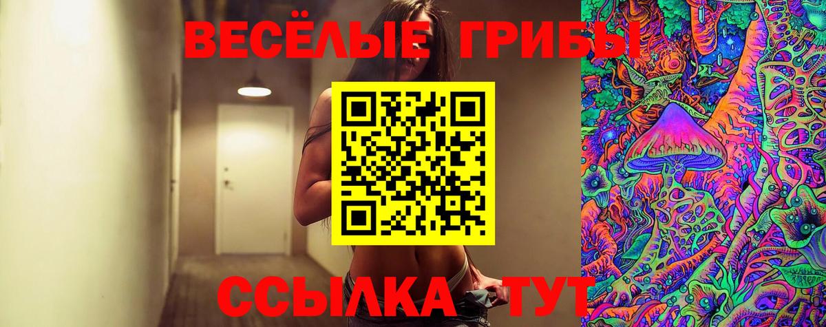 Галлюциногенные грибы Magic Shrooms  Псилоцибиновые грибы GOLDEN TEACHER  Вход с VPN  Семилуки 