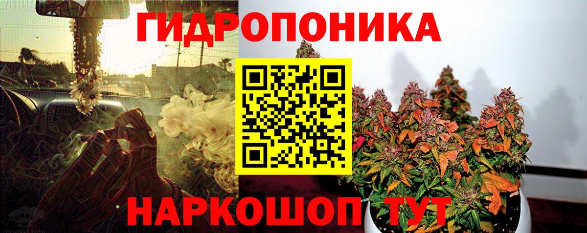 Каннабис MAZAR  МАРИХУАНА MAZAR  Вход с VPN  Семилуки  Каннабис Ganja 